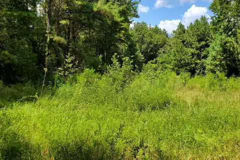 Camp Krenari