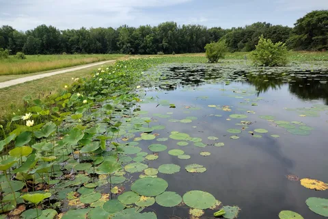 Eldon Hazlet State Recreational Area