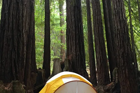 Little Basin Cabins and Campground - Big Basin Redwoods State Park