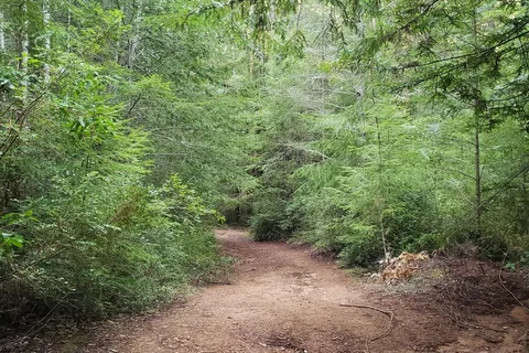 Little Basin Cabins and Campground - Big Basin Redwoods State Park