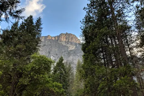 North Pines - Yosemite National Park