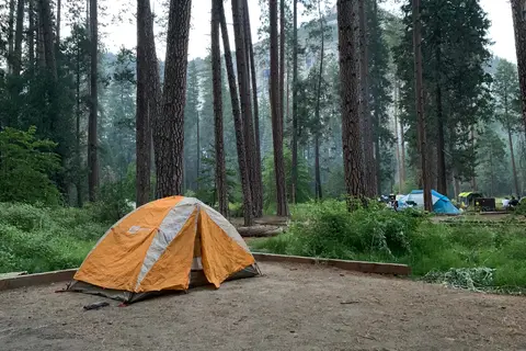 North Pines - Yosemite National Park