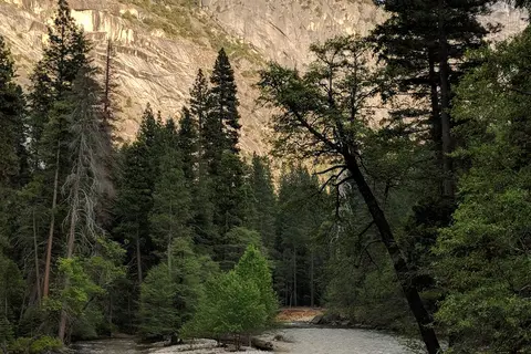 North Pines - Yosemite National Park