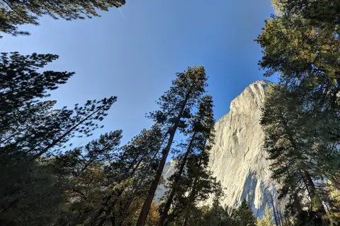 North Pines - Yosemite National Park
