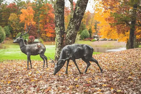 Mountain Falls Luxury Motorcoach Resort