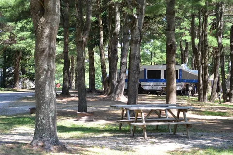 Camping Cantley
