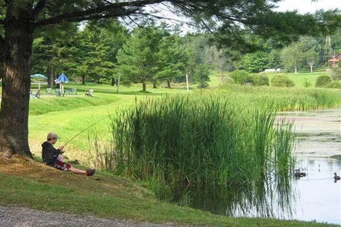 Camping Cantley