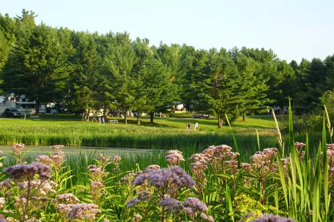 Camping Cantley