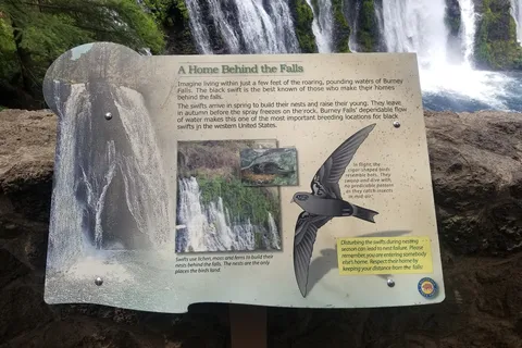 McArthur-Burney Falls State Park
