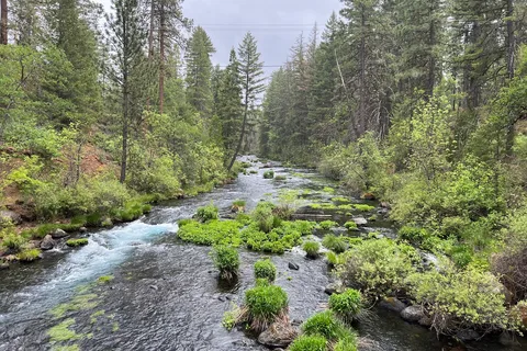 McArthur-Burney Falls State Park