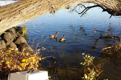 Lakeshore RV Park - Ortonville