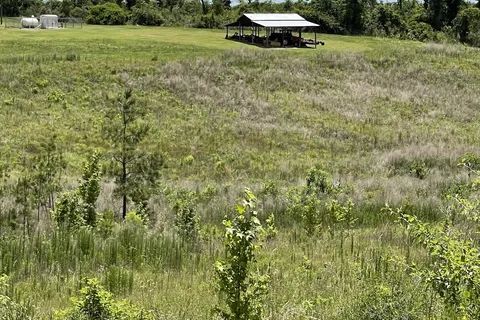 Alliance Hill RV Resort
