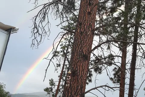 Wood Lake Terrace RV and Campground