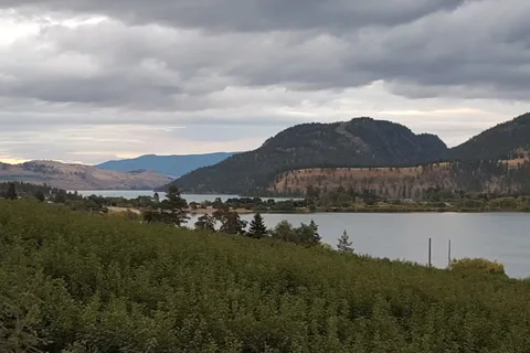 Wood Lake Terrace RV and Campground