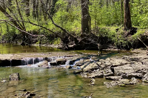 Wallace State Park