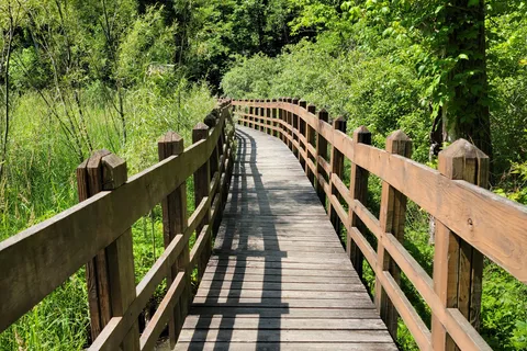 Wallace State Park