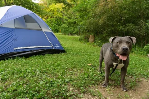 Wallace State Park