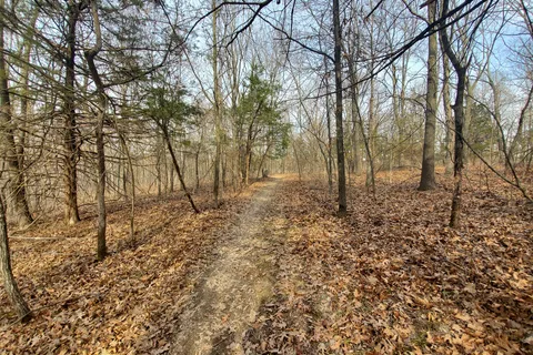 Wallace State Park