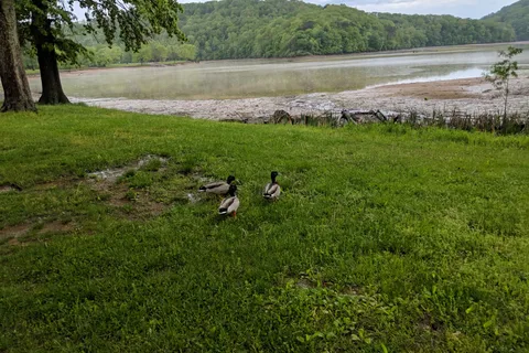 Beech Fork State Park