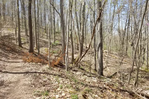 Beech Fork State Park