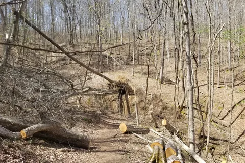 Beech Fork State Park
