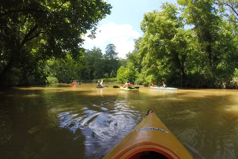 Beech Fork State Park