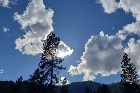 Blu-Shastin RV Park