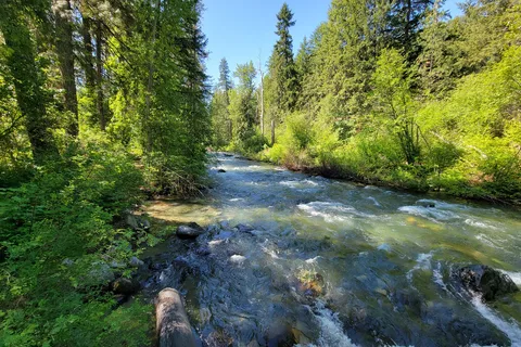 Blu-Shastin RV Park