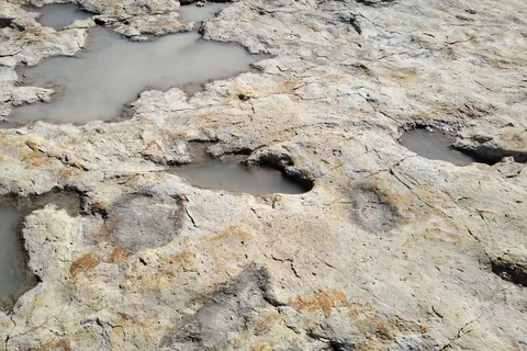 Rock Garden - Clayton Lake State Park