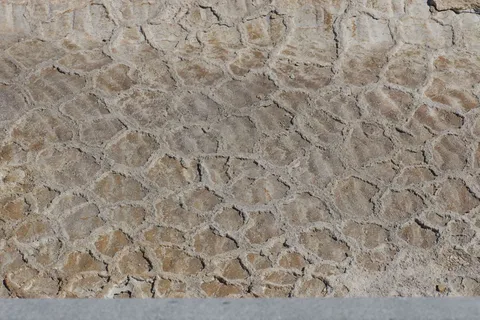 Rock Garden - Clayton Lake State Park