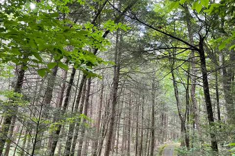 Granville State Forest