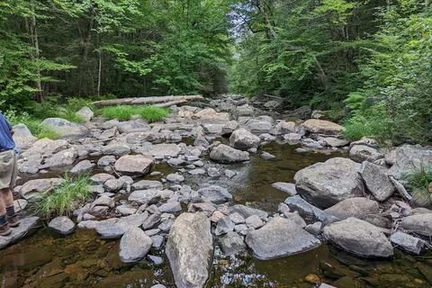 Granville State Forest