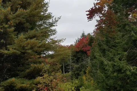 Granville State Forest