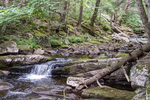 Granville State Forest