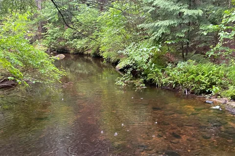 Granville State Forest