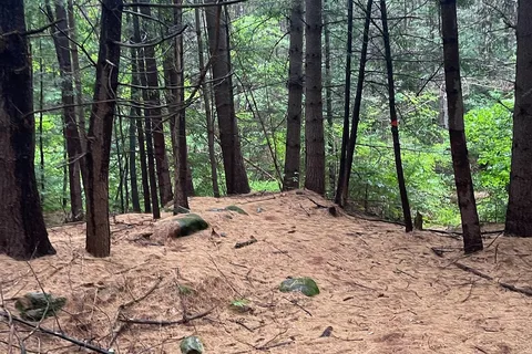 Granville State Forest