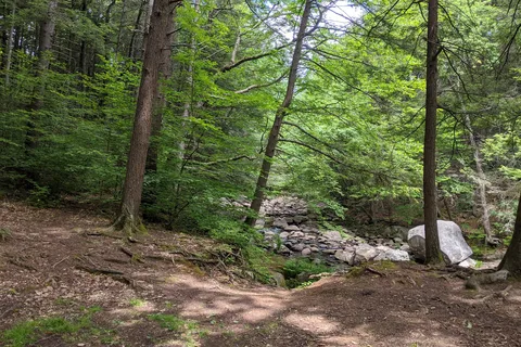 Granville State Forest