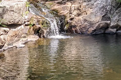 Granville State Forest