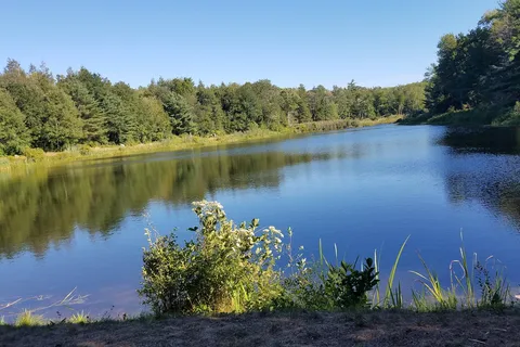 Granville State Forest