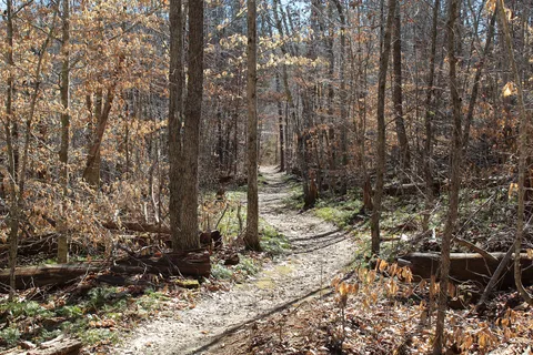Big Ridge State Park