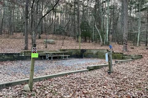 East Rim - Cloudland Canyon State Park