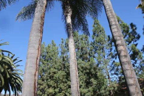 Fairplex RV Park