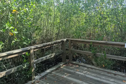 Collier-Seminole State Park
