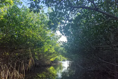 Collier-Seminole State Park