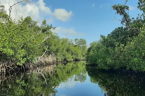 Collier-Seminole State Park