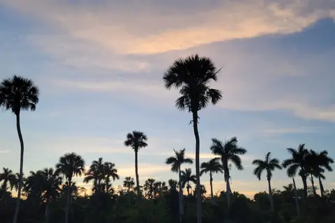 Collier-Seminole State Park