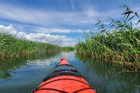 Molson RV - Iles-de-Boucherville Provincial Park