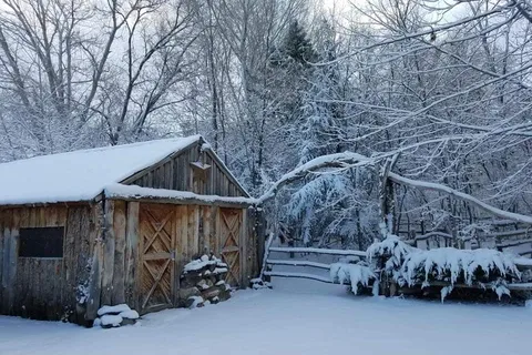 Willow Glen Resort