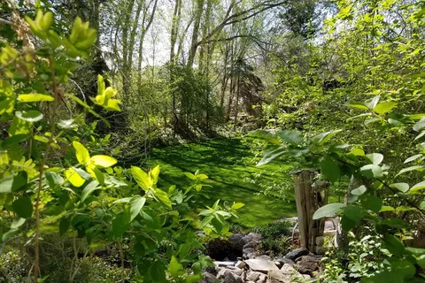 Willow Glen Resort