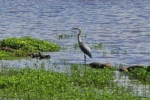 Oak Ridge - State Recreation Area